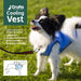 Crufts - Pet Cooling Vest Jacket (Extra Large)