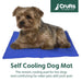 Crufts - Pet Cooling Mat Small (30 x 40cm)