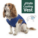 Crufts - Pet Cooling Vest Jacket (Extra Small)