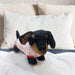 Sausage Dog Soft Toy - Dachshund Valentines Day Black with White