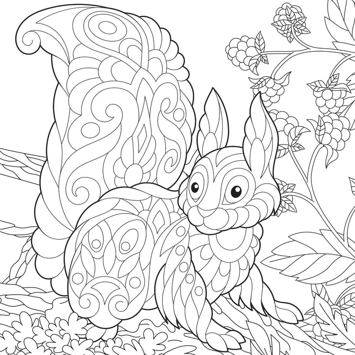 Animals Colouring Book for Adult Relaxation