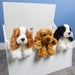 Cocker Spaniel Dog Plush Toy (White and Brown)