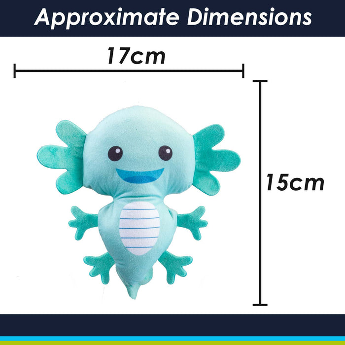Axolotl Soft Toy Cute Plushie Huggable Cuddly Stuffed Toy 15cm Green