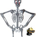 Halloween Hanging Skeleton Large- Terrifying Detailed Decoration Spooky 1. 2m