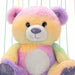 Luxury Rainbow Teddy Bear Plush 25cm - Cuddle Crew