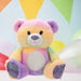 Luxury Rainbow Teddy Bear Plush 25cm - Cuddle Crew