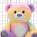 Luxury Rainbow Teddy Bear Plush 25cm - Cuddle Crew