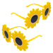 Halloween Daisy Glasses | Fancy Dress | Daisy Glasses | 2 Pack