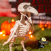 Spooky Halloween Animal Skeletons - Creepy Creepy Dead Bones Crow, Frog & Rat