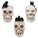 Halloween Polyresin Skull | Party Decoration | Cat-Crow-Bat | 3 Pack
