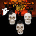 Halloween Polyresin Skull | Party Decoration | Cat-Crow-Bat | 3 Pack