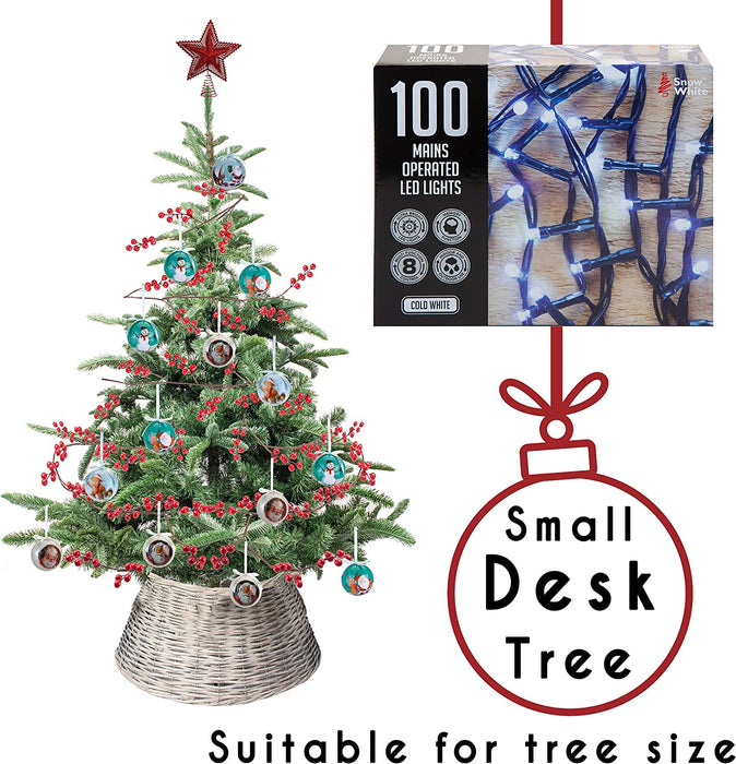 100 LED 7M Christmas Lights, Cold White