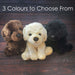 Golden Labrador 30cm Plush Lifelike Toy - Natural World Collection