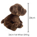 Chocolate Labrador Soft Toy - Dog Plush Lifelike Toy - Cute Gift - Brown  30cm