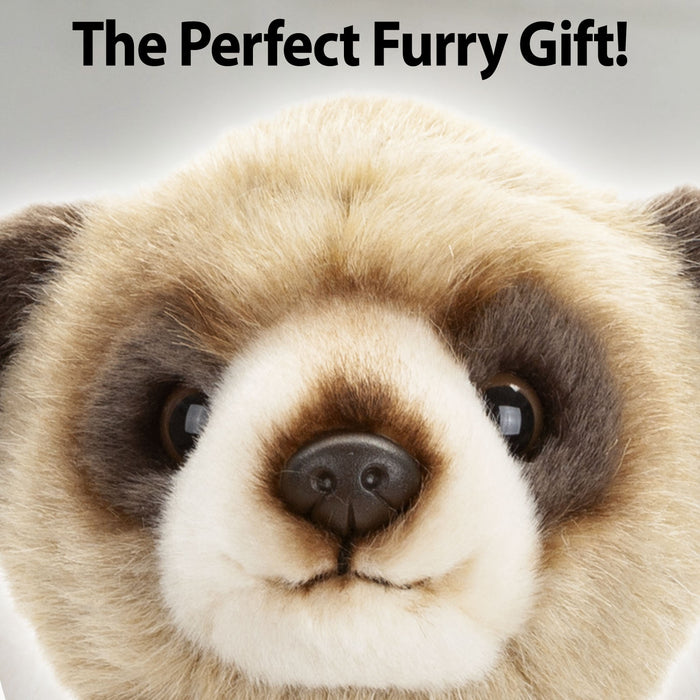 Desert Meerkat 30cm Plush Lifelike Toy - Natural World Collection