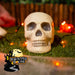 Halloween Buried Skeleton decoration - Outdoor Prop Spooky (5 Pieces)