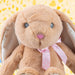 Sitting Floppy Pippin Rabbit Brown Colour 30cm