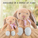 Sitting Floppy Pippin Rabbit Brown Colour 30cm