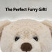 Brody Bear 23cm Plush With Scarf Premium Fluffy Toy - Cuddle Crew