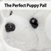 Puppy Soft Toy Cream Puppy 20cm Plush Pet - Luxury Pale Sitting Dog Teddy