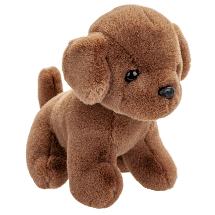 Plush dog teddy online