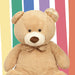107cm XL Cream Teddy Bear Golden Paws Cute Plush Soft Toy - Cuddle Crew