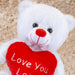 Bear Soft Toy White 10" Sitting Bear Plush - Red Love Heart