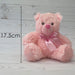 New Baby Bear Soft Toy - Baby Girl Pink Plush Toy - Pink 17. 5 cm