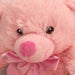 New Baby Bear Soft Toy - Baby Girl Pink Plush Toy - Pink 17. 5 cm