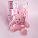 New Baby Bear Soft Toy - Baby Girl Pink Plush Toy - Pink 17. 5 cm