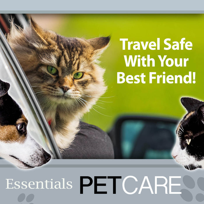 Crufts -Universal Pet Seat Belt Travel Restraint 3 Assorted Car